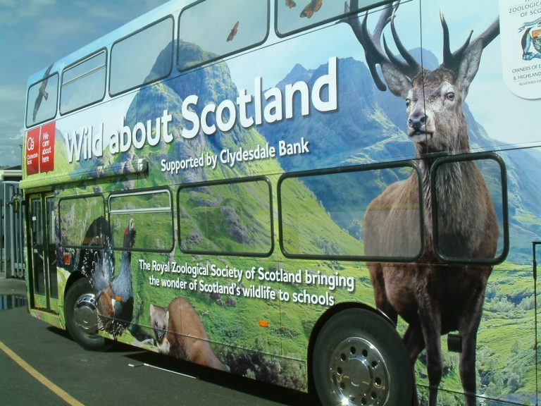 Exhibition bus conversion service